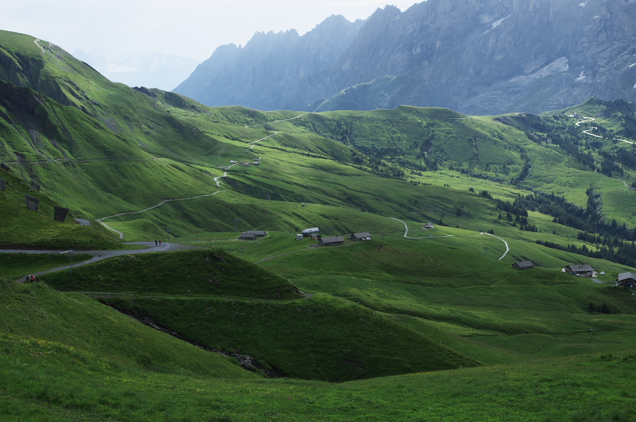 IMGP9930.jpg(349018 byte)