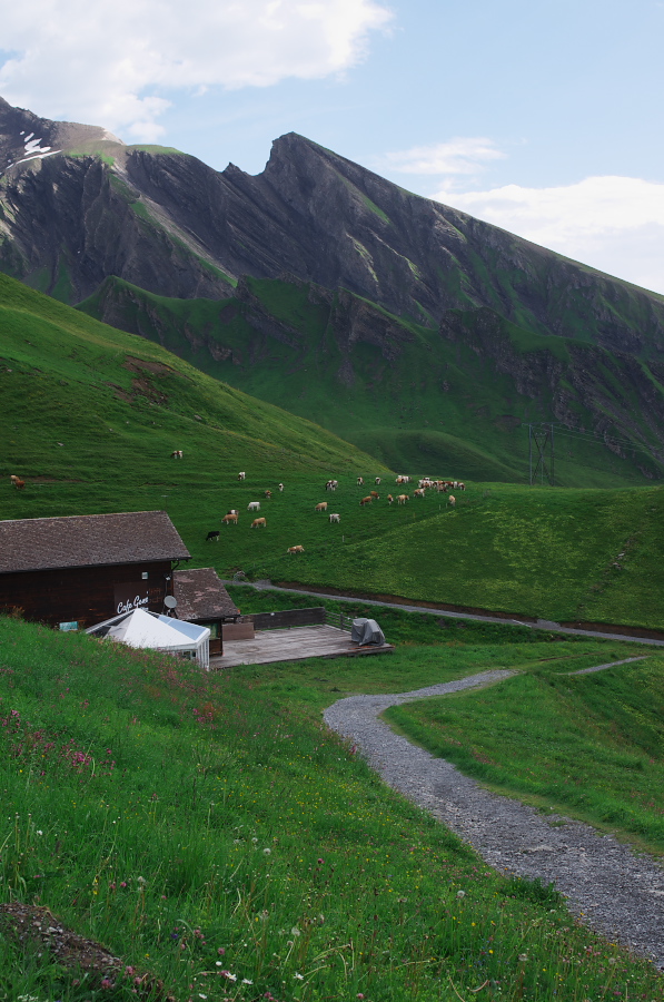 IMGP9940.jpg(368215 byte)