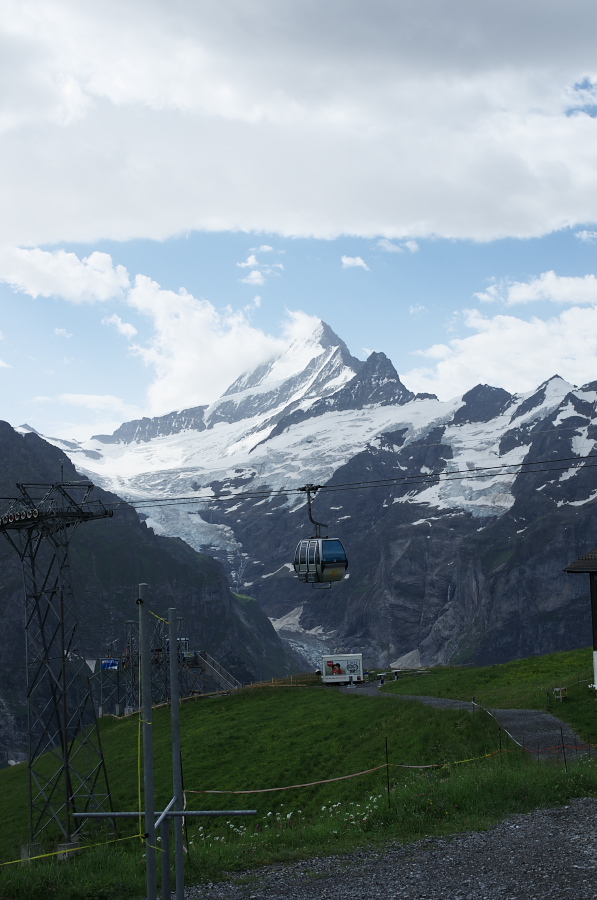 IMGP9942.jpg(264988 byte)