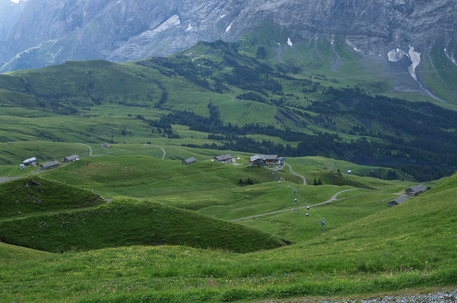 IMGP9949.jpg(393988 byte)