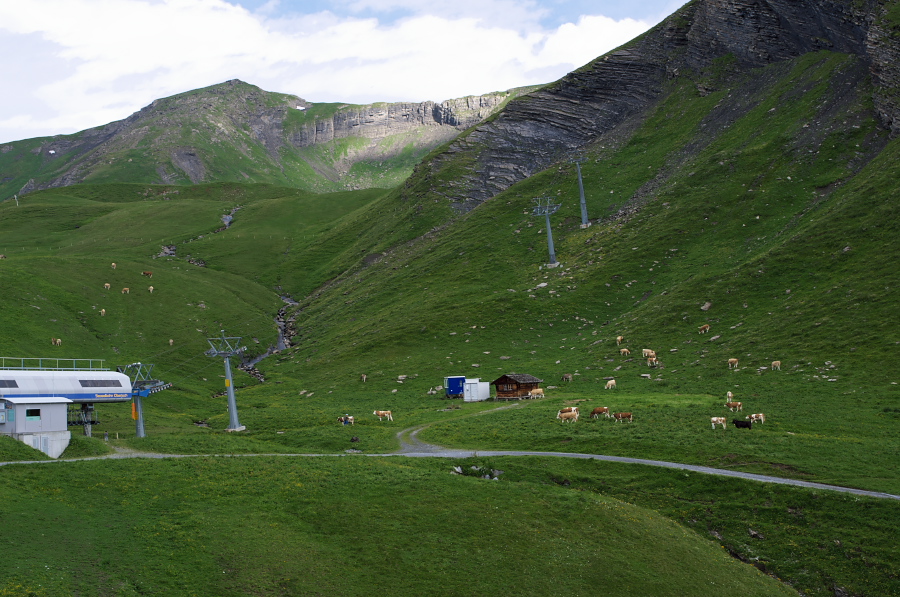 IMGP9951.jpg(385860 byte)