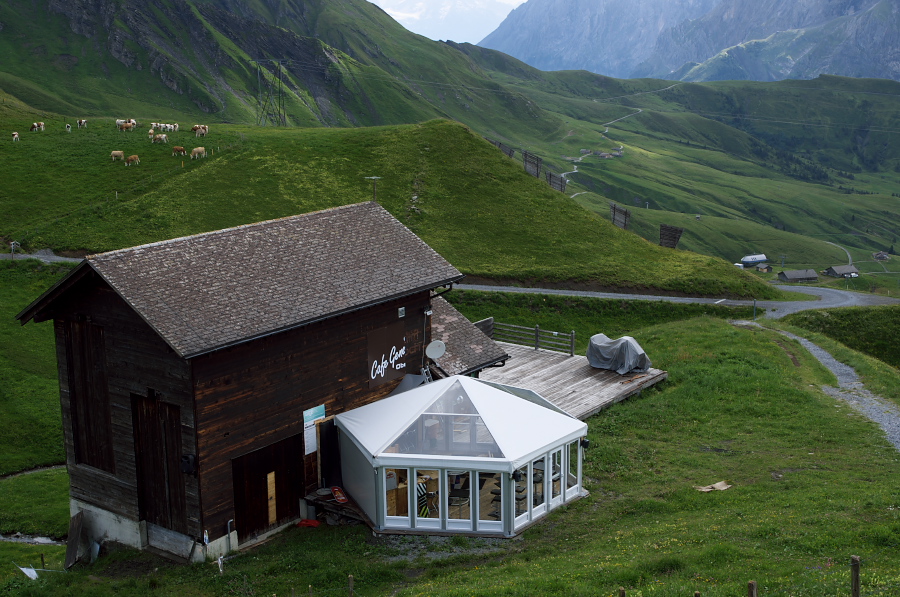 IMGP9952.jpg(389474 byte)