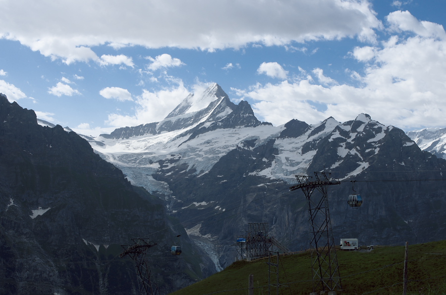 IMGP9953.jpg(266138 byte)