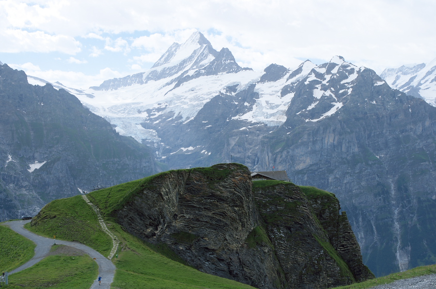 IMGP9981.jpg(325350 byte)