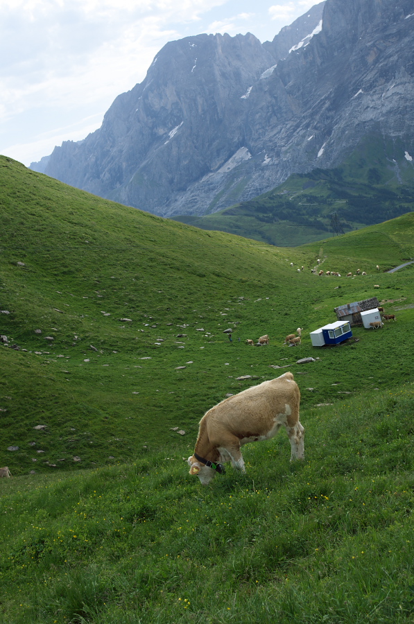 IMGP9988.jpg(393713 byte)