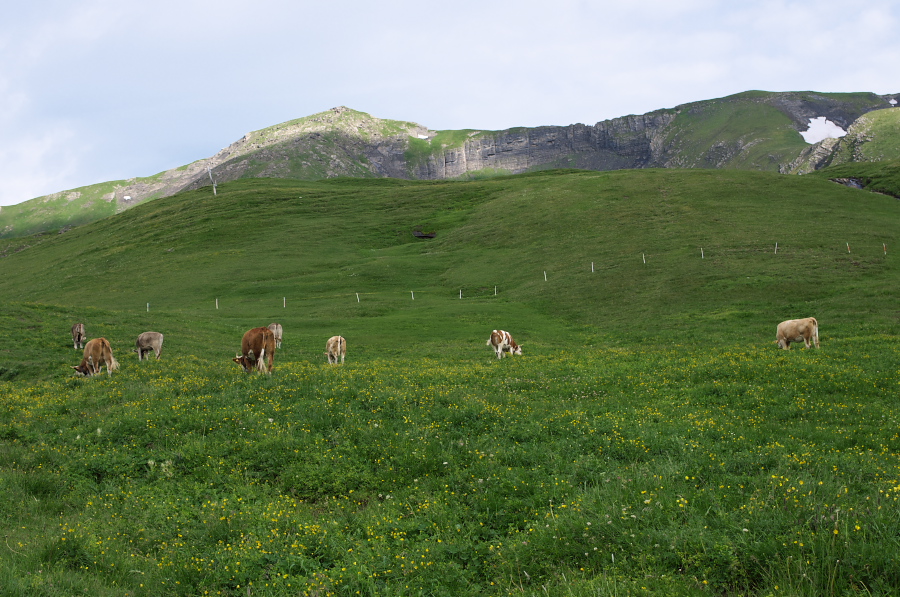 IMGP9989.jpg(402320 byte)