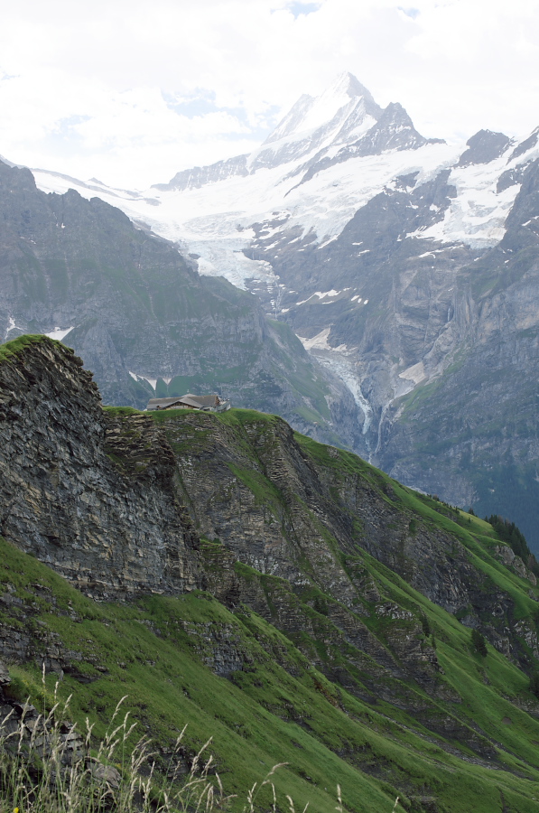 IMGP0003.jpg(352855 byte)