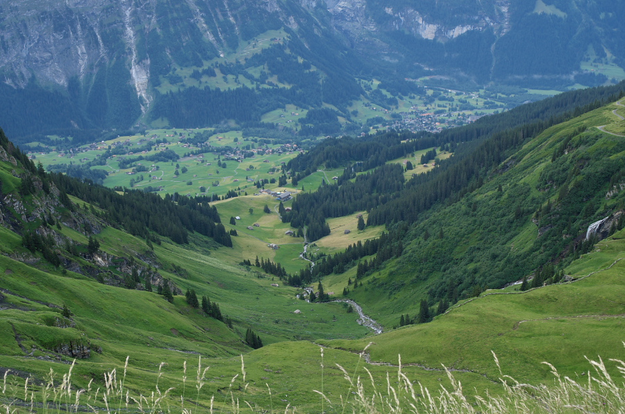 IMGP0006.jpg(408557 byte)