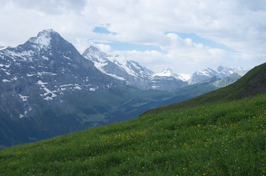 IMGP0008.jpg(322984 byte)