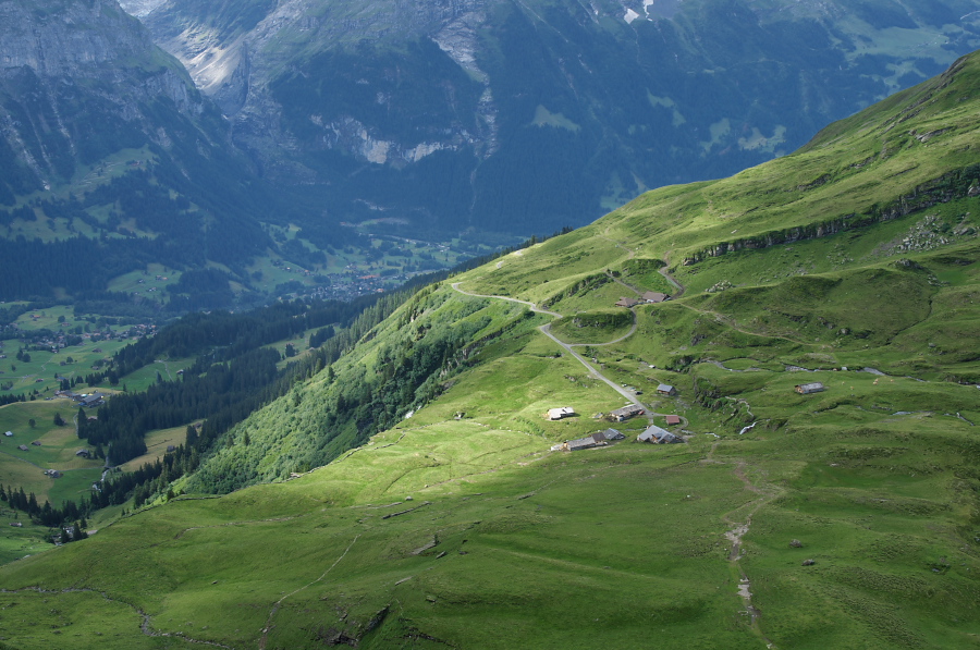 IMGP0012.jpg(360626 byte)