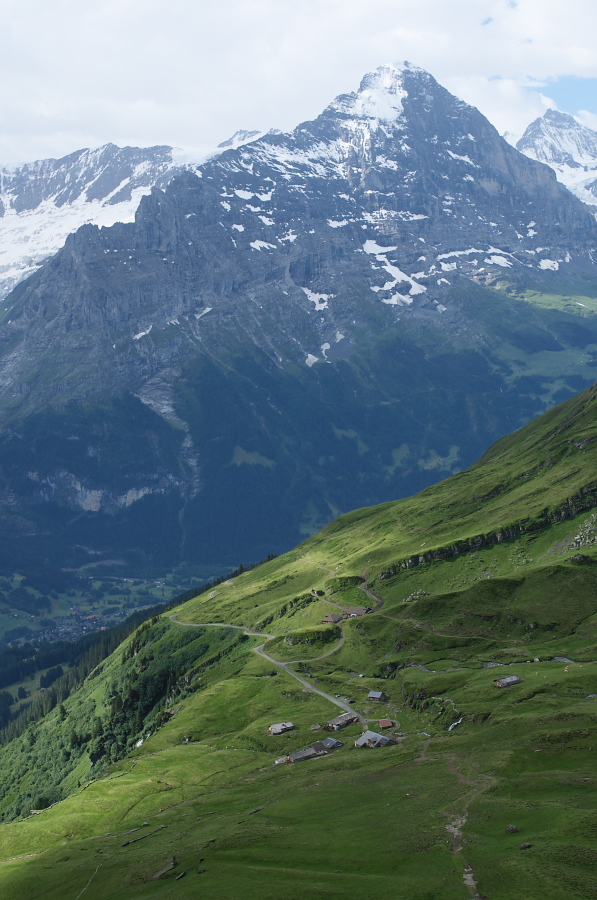 IMGP0013.jpg(328083 byte)