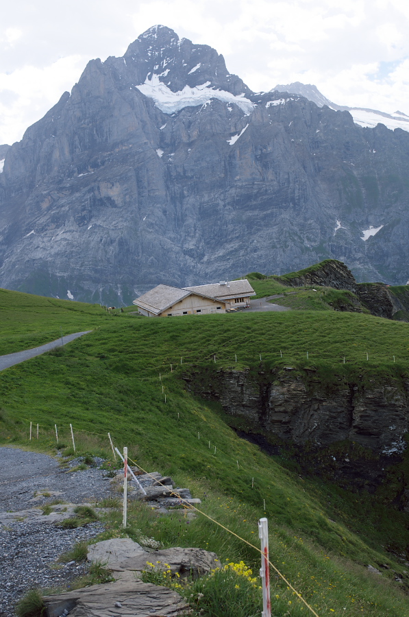 IMGP0014.jpg(368810 byte)