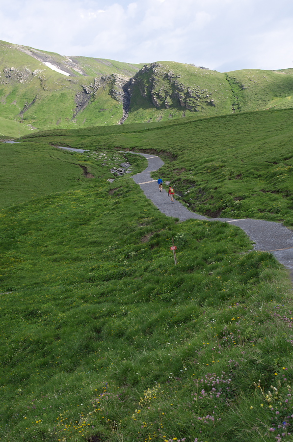 IMGP0016.jpg(437894 byte)