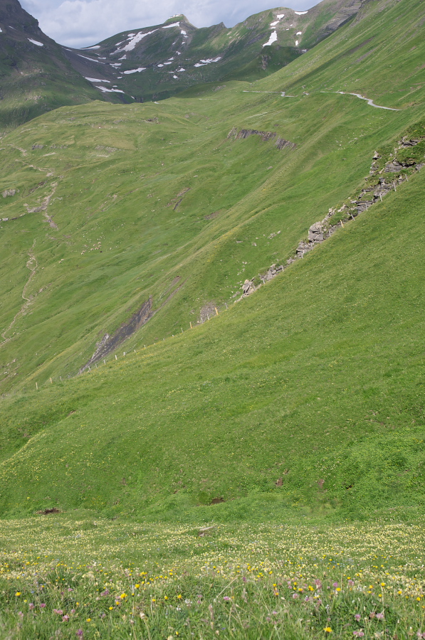 IMGP0019.jpg(458320 byte)