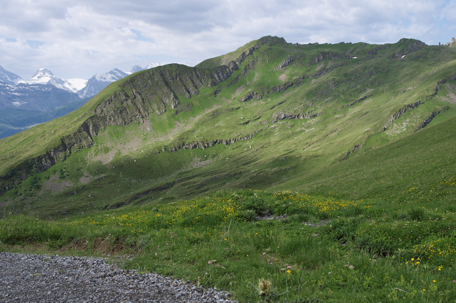 IMGP0027.jpg(417664 byte)