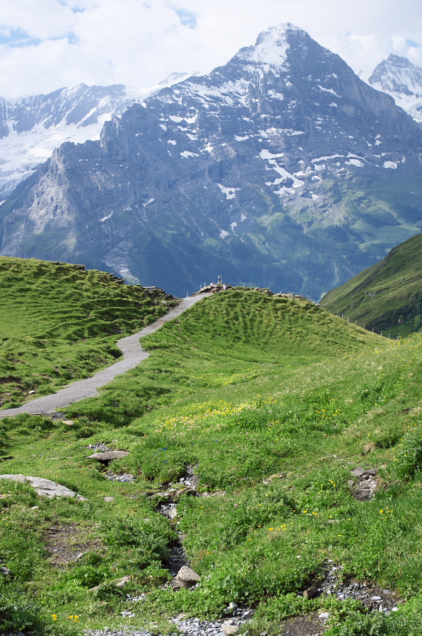 IMGP0034.jpg(504850 byte)