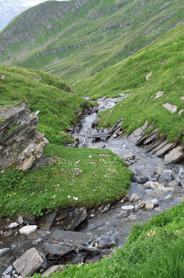 IMGP0042.jpg(521017 byte)