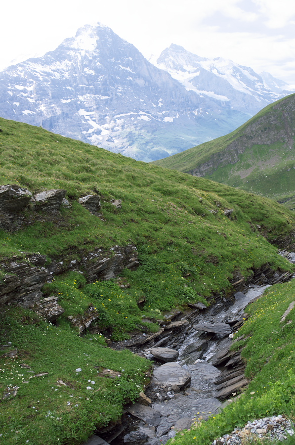 IMGP0044.jpg(455898 byte)