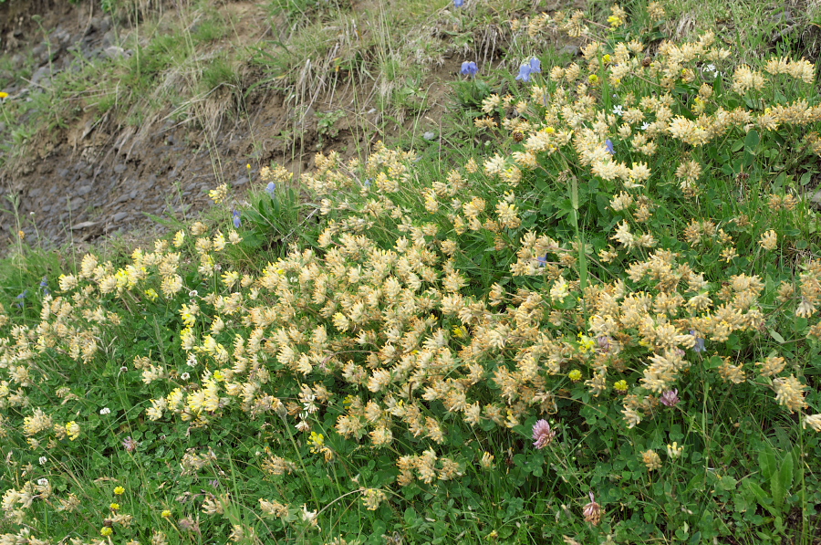 IMGP0050.jpg(636915 byte)