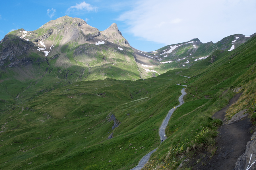 IMGP0055.jpg(352913 byte)