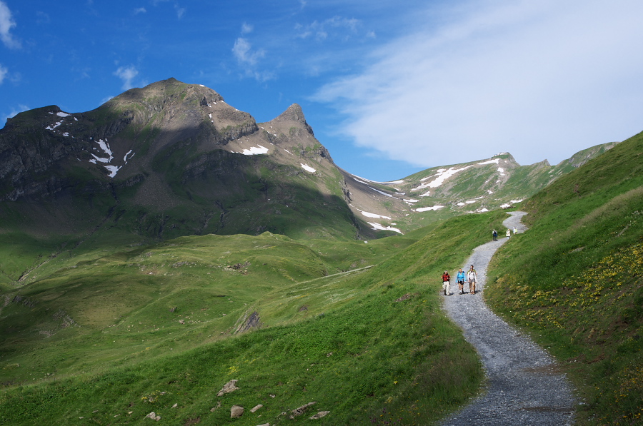 IMGP0058.jpg(340314 byte)