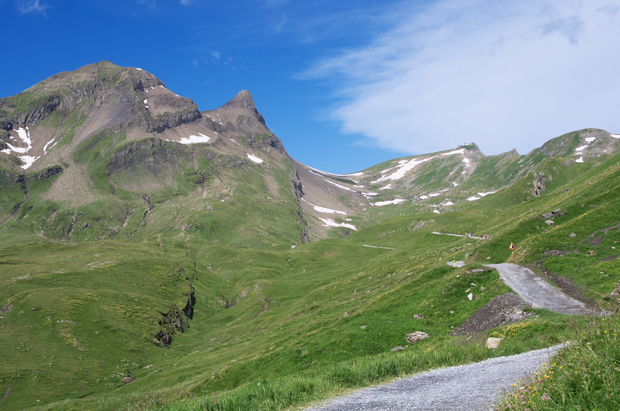 IMGP0060_1.jpg(379599 byte)