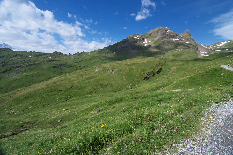 IMGP0063.jpg(412916 byte)