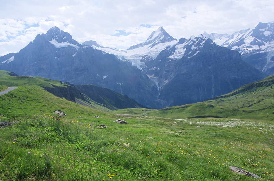 IMGP0066_1.jpg(398004 byte)