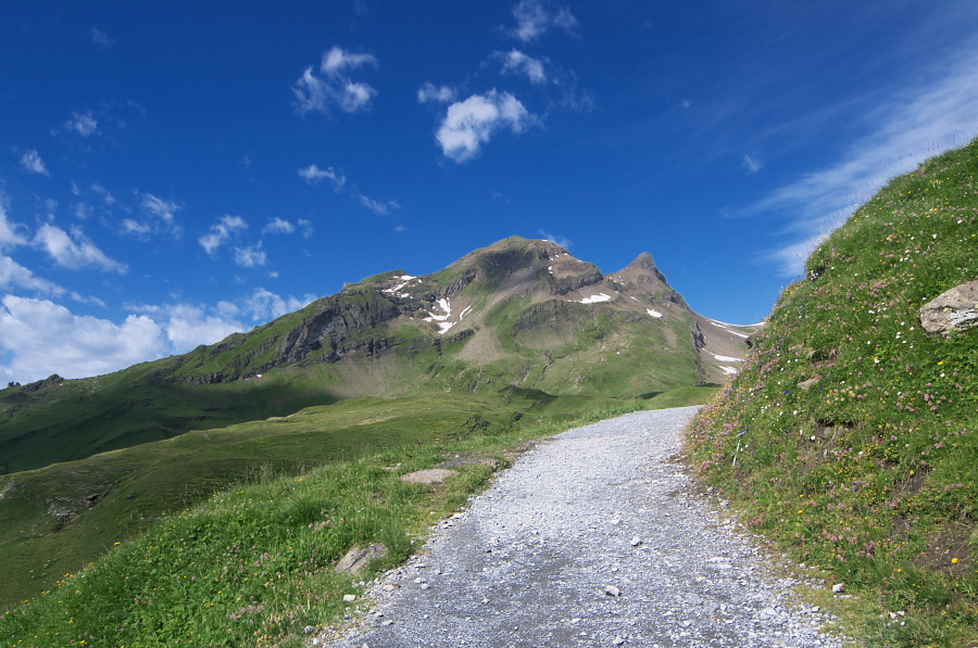 IMGP0072_1.jpg(389082 byte)