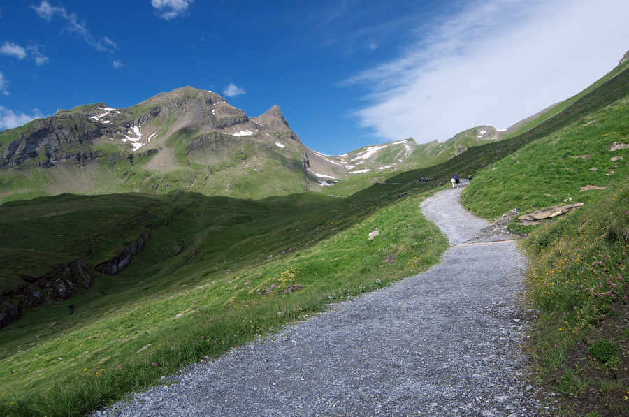 IMGP0073_1.jpg(395328 byte)