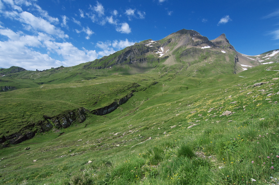 IMGP0074.jpg(425144 byte)