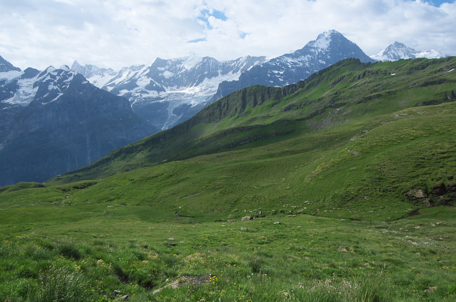 IMGP0075.jpg(374209 byte)