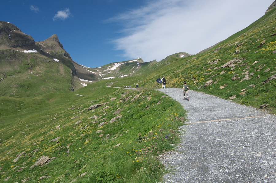 IMGP0076.jpg(432809 byte)