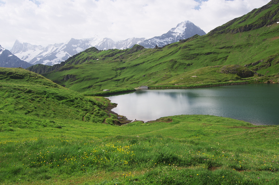 IMGP0087_1.jpg(422111 byte)