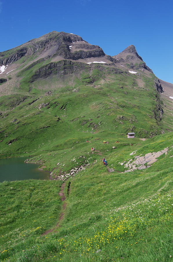 IMGP0088_1.jpg(456712 byte)