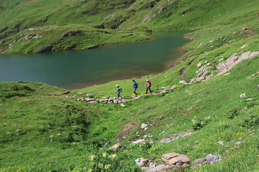 IMGP0089_1.jpg(536195 byte)