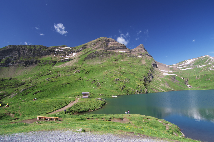 IMGP0094_1.jpg(347689 byte)