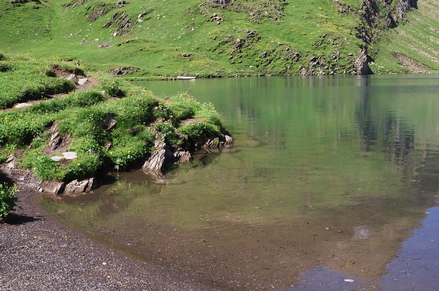 IMGP0107_1.jpg(486102 byte)