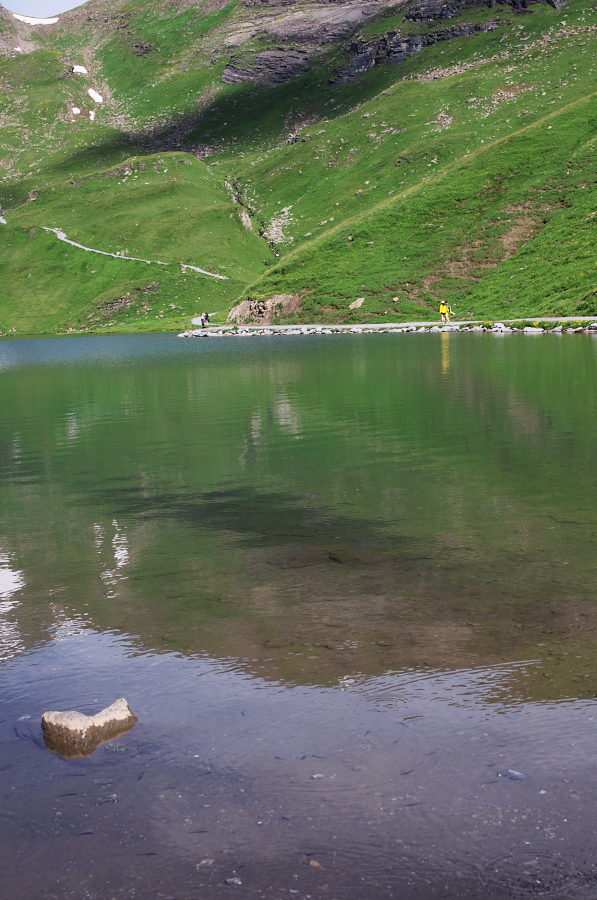 IMGP0108_1.jpg(360956 byte)