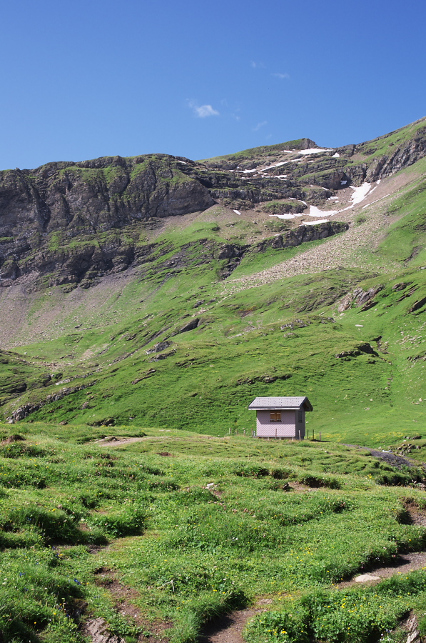 IMGP0117_1.jpg(484945 byte)