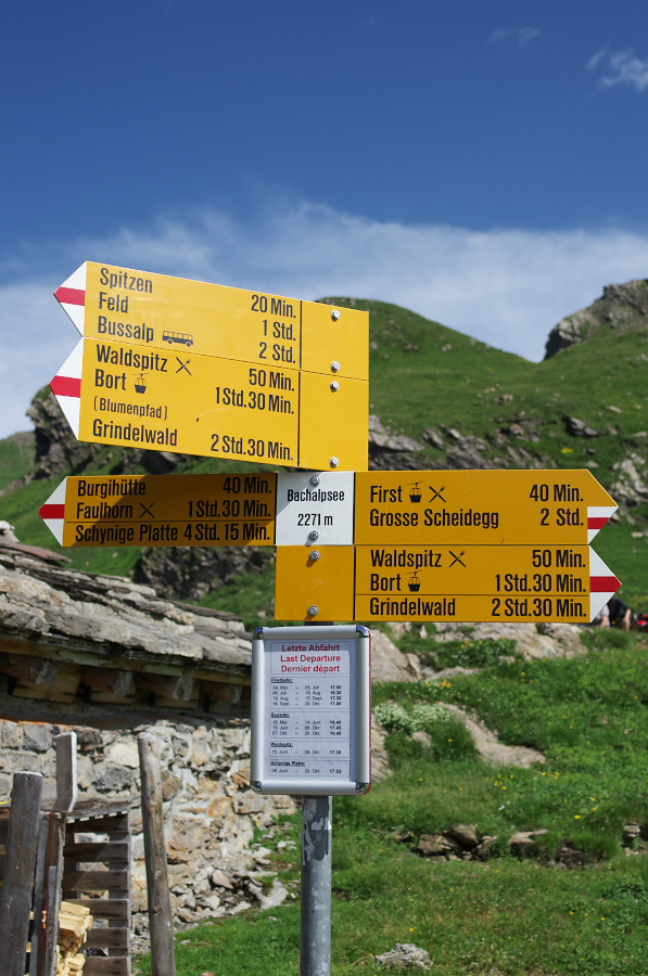 IMGP0135_1.jpg(325323 byte)