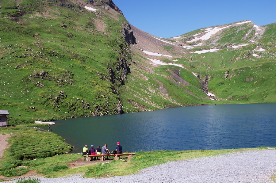 IMGP0136_1.jpg(469789 byte)