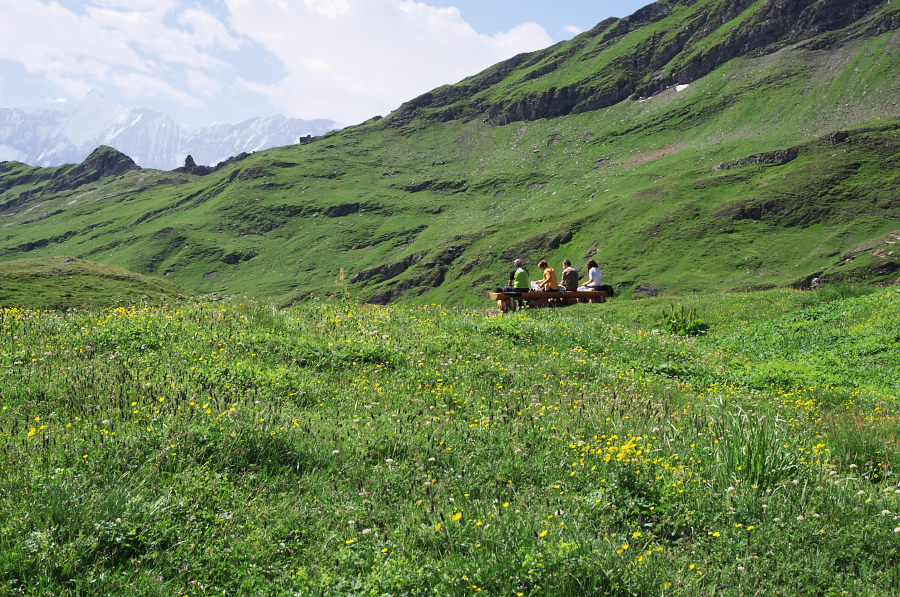 IMGP0143_1.jpg(577494 byte)