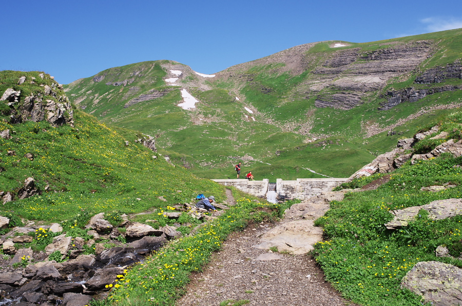 IMGP0152.jpg(538114 byte)