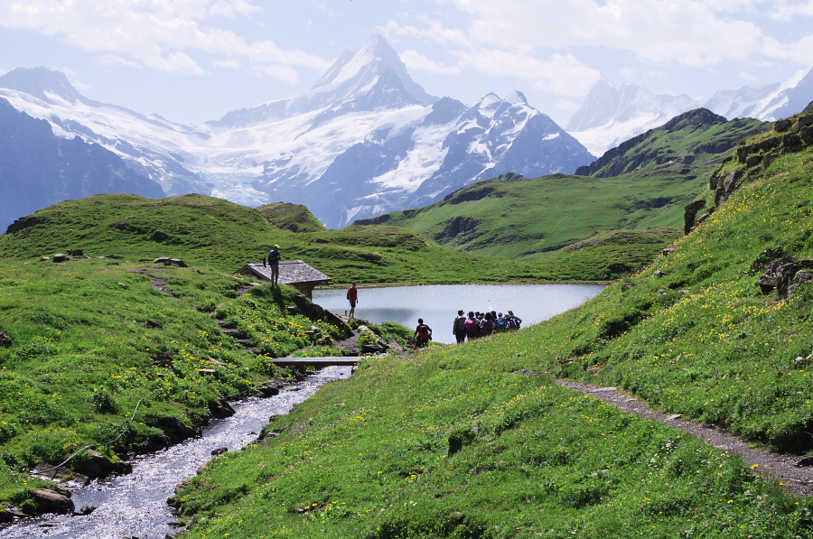 IMGP0154.jpg(497426 byte)