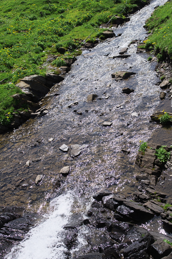 IMGP0156.jpg(628029 byte)