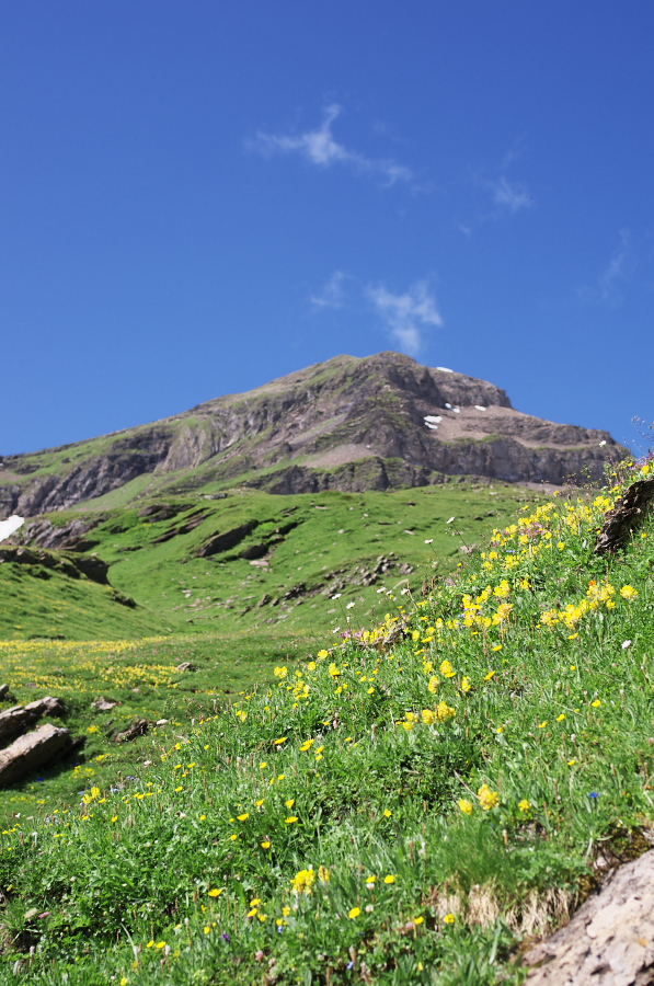 IMGP0157.jpg(404056 byte)