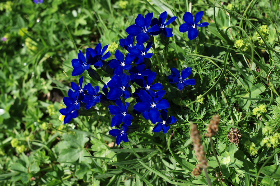 IMGP0171.jpg(449064 byte)