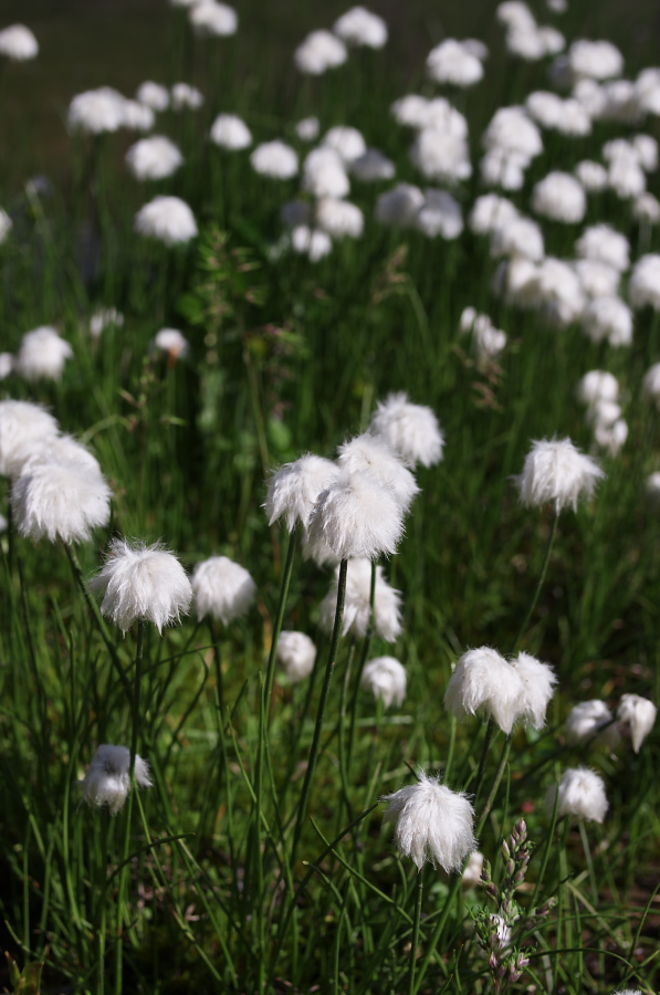 IMGP0185.jpg(253774 byte)