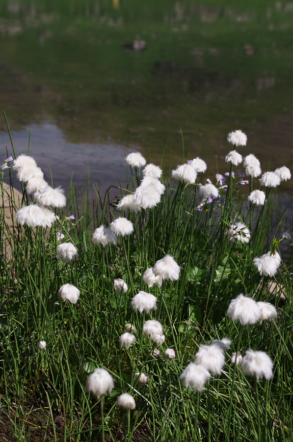 IMGP0193.jpg(383072 byte)